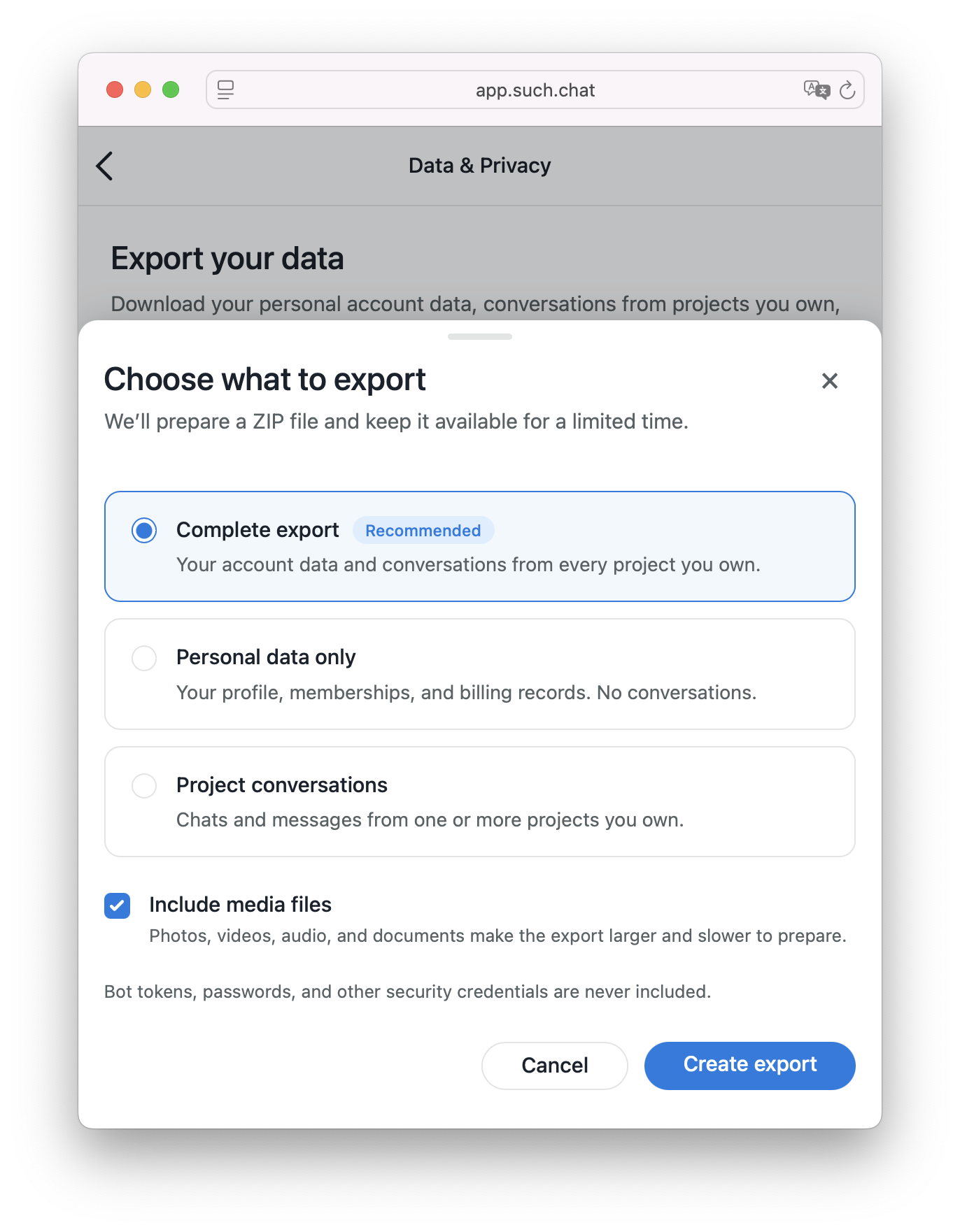 Choosing Project conversations and whether to include media files