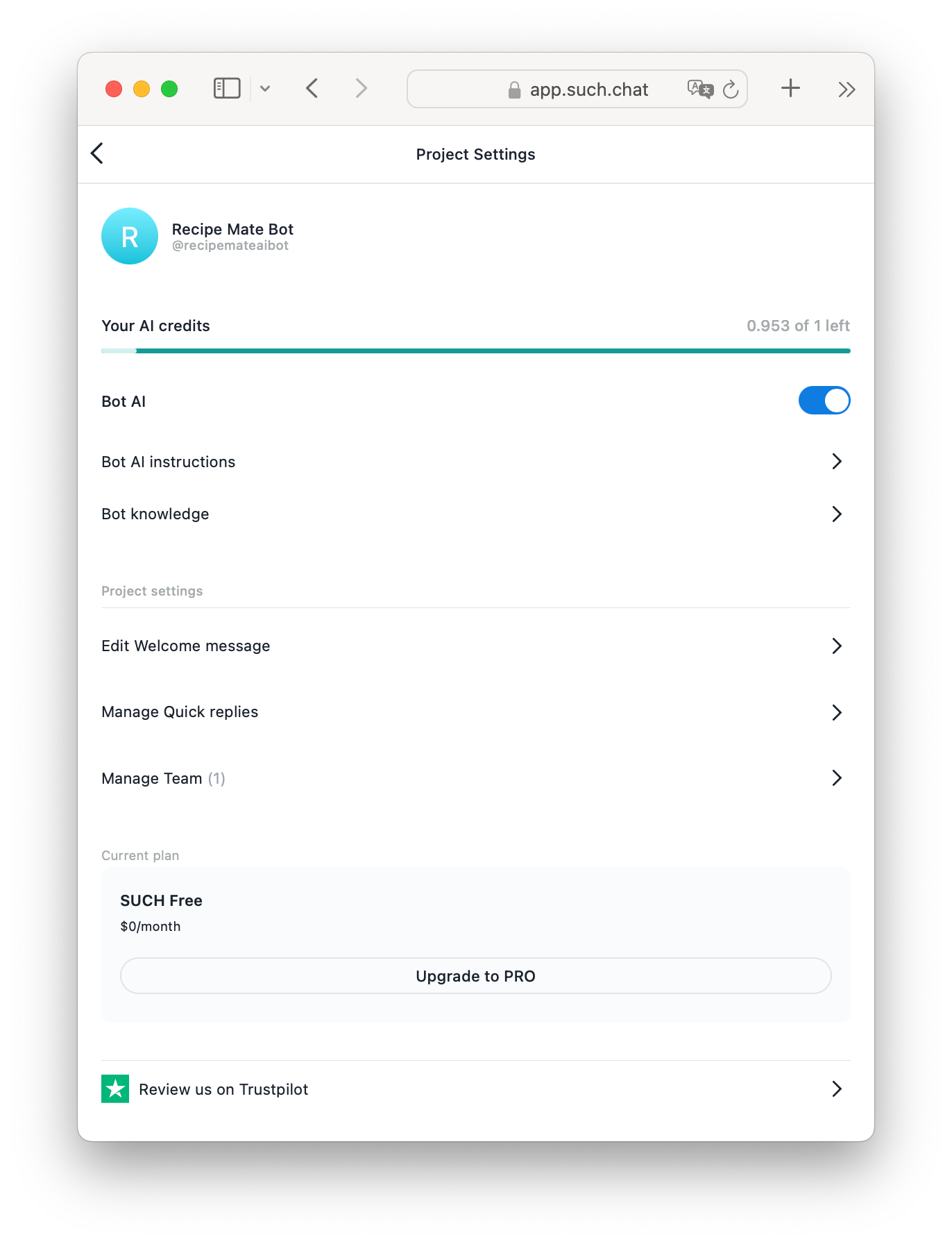SUCH Project Settings showing Bot AI, Bot AI Instructions, and Bot Knowledge