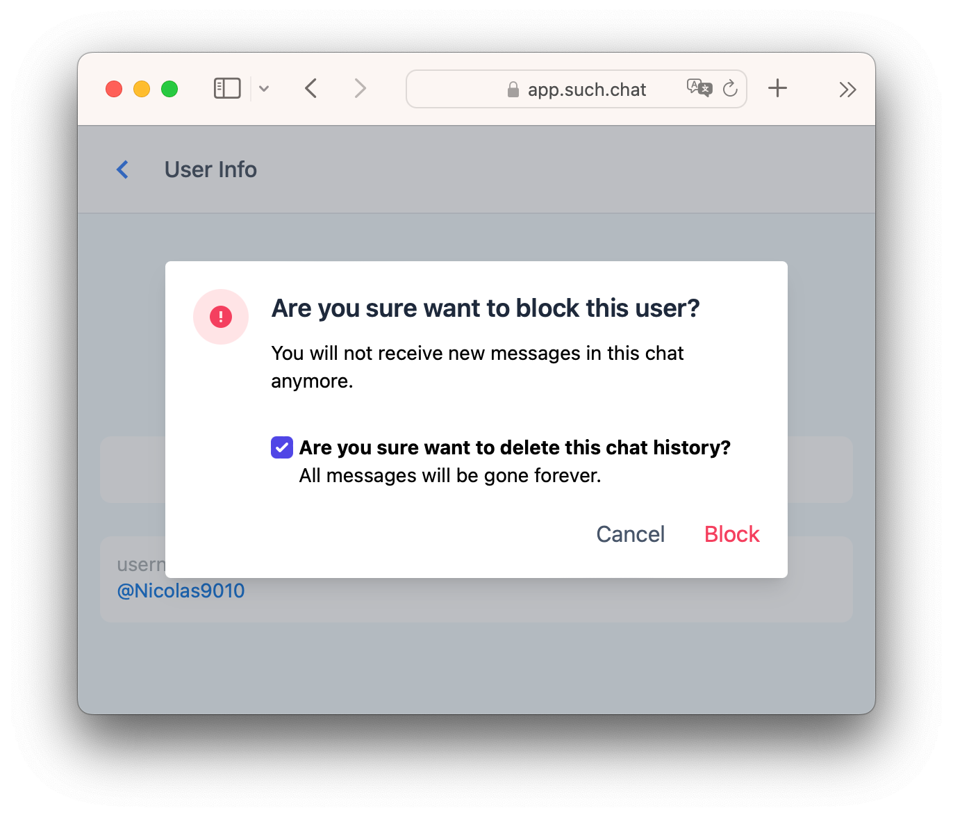 How To Mute, Block, Clear, and Delete Chats — screenshot 7