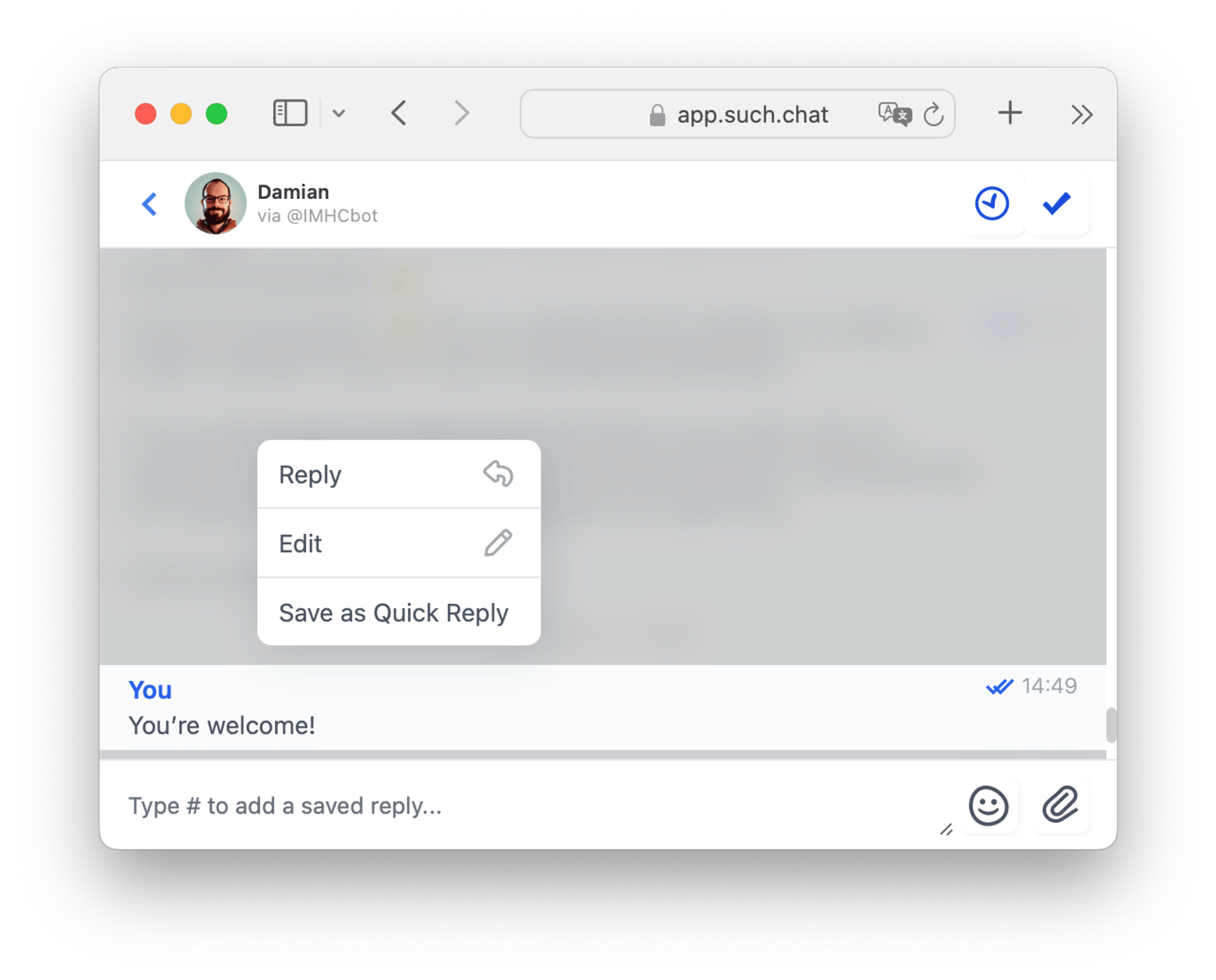 How To Use Quick Replies — screenshot 5